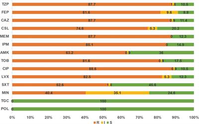The role of type VI secretion system genes in antibiotic resistance and virulence in Acinetobacter baumannii clinical isolates